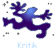 Kritik
